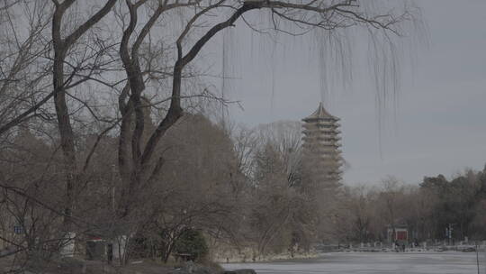 北京大学-博雅塔