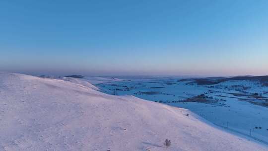 广阔雪地上的孤树与远方的雪色丘陵