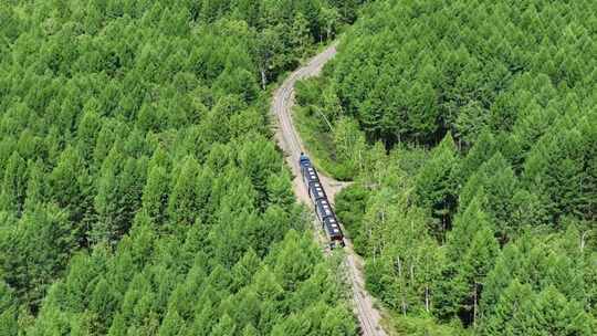 航拍行驶在大兴安岭的森林小火车