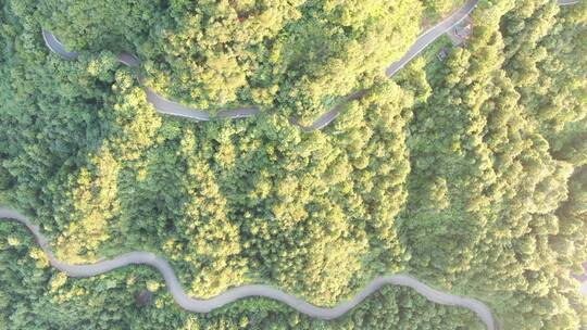 俯拍绿色森林蜿蜒盘山公路