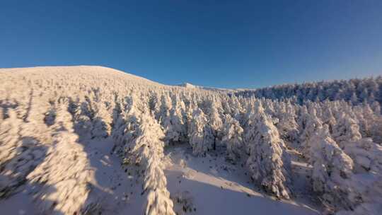 4kfpv航拍雪山森林日出