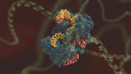 生物科学 基因编辑 DNA 基因工程 医学动画视频素材模板下载