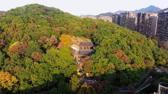 永乐禅寺 杭州 西溪湿地 留下