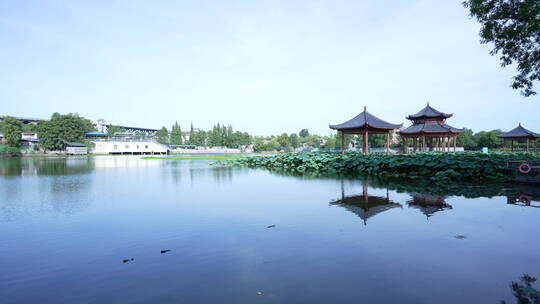 武汉汉阳莲花湖公园风景视频素材模板下载