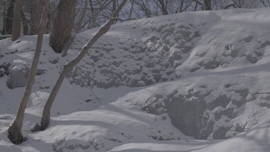 冬季北方冰雪光阴变化LOG视频素材