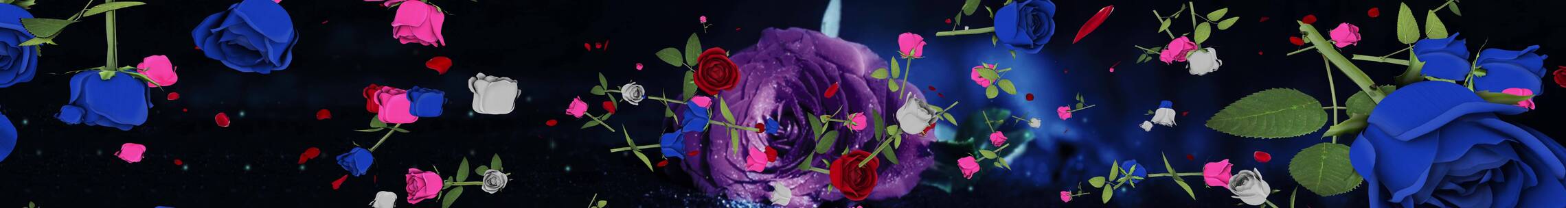 蓝色玫瑰 粒子花瓣 玫瑰花海 婚礼宴会素材