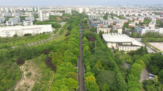 城市道路两旁绿色生态航拍