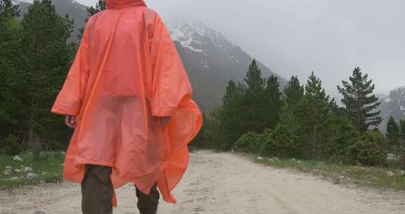 雨中走在森林路上的人