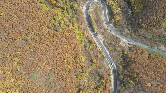 航拍本溪山桓仁间穿行于秋色中的道路