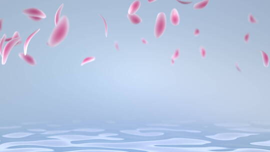 抽象粉色玫瑰花樱花瓣下落飘落水面动态素材
