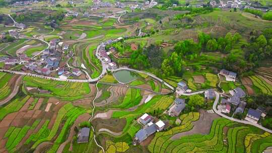 陕西汉阴凤堰古梯田