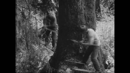1917年复古电影影片工人砍伐树木