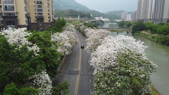 航拍城市风景 车流