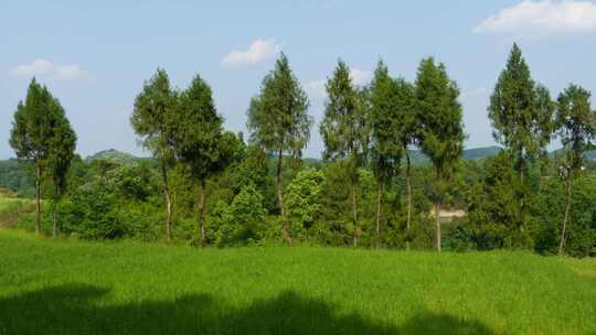 四川丘陵地区田园油画风光合集