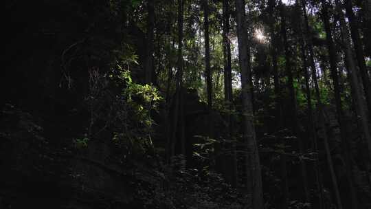 湖北恩施梭布垭石林景区自然风景喀斯特地貌