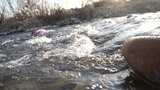 水 河流 小溪 风景 水流 河道 河 风光高清在线视频素材下载