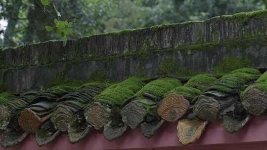 雨中青苔灰瓦古墙头04