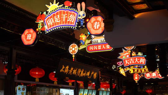 上海城隍庙视频素材模板下载