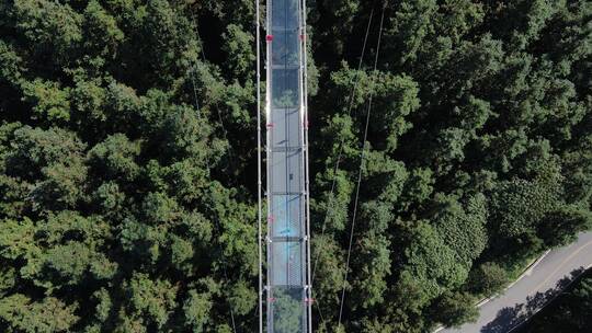 南宁高峰公园森林玻璃栈道高清航拍视频素材模板下载