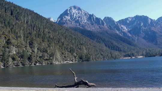 高山湖泊森林