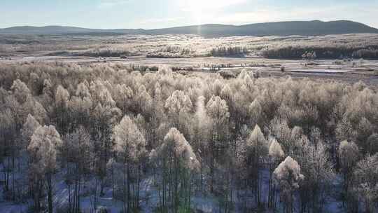 航拍林海雪原雾凇新20241026 (1)