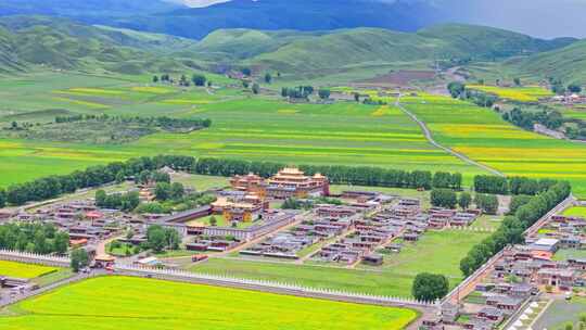 四川甘孜州道孚县惠远寺夏季草原油菜花航拍