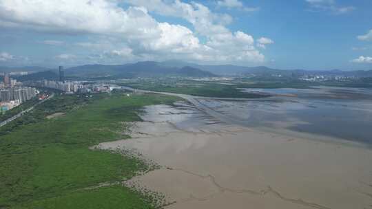 4K航拍深圳福田红树林湿地保护区