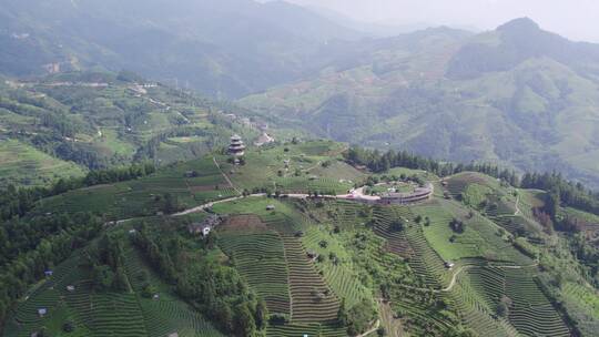 4k 航拍柳州三江布央仙人茶山茶山风景区