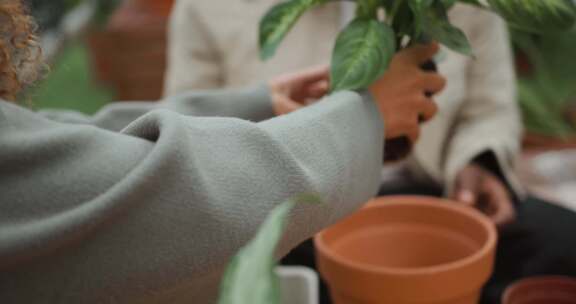 一个人把植物放在一个人面前