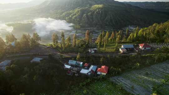 巴厘岛火山梯田椰林航拍