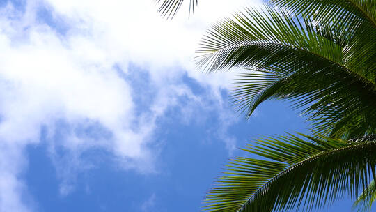 海南岛唯美自然风光