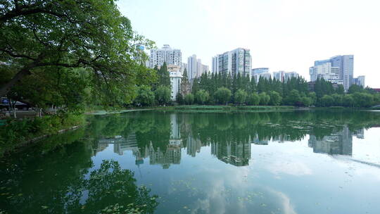 武汉汉口小南湖公园风景