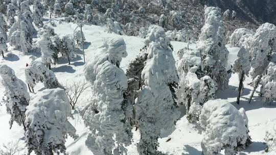 杭州临安百丈岭雪景风光4K航拍