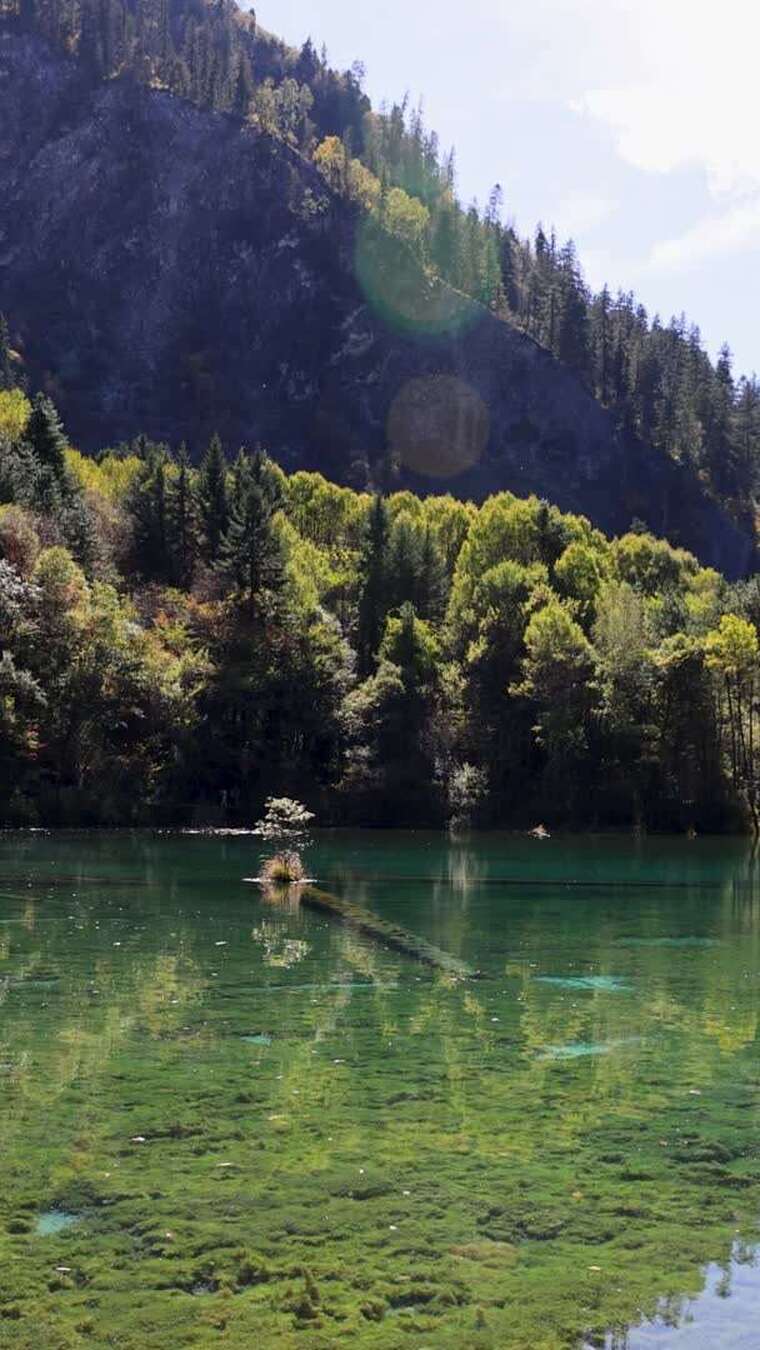 合集-四川阿坝九寨沟美景