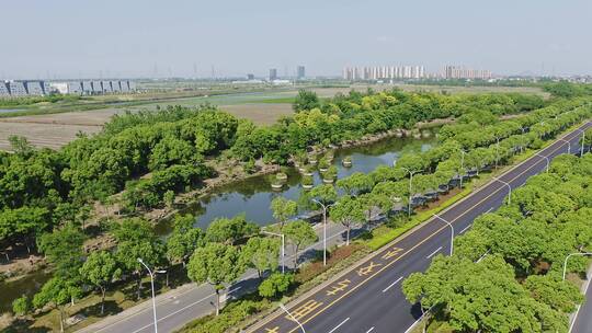 绍兴上虞市致远大道