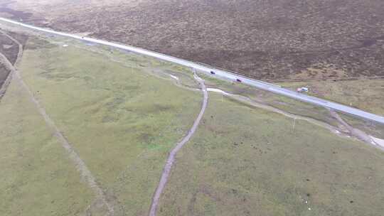 航拍青藏高原祁连大草原雪山牧场羊群