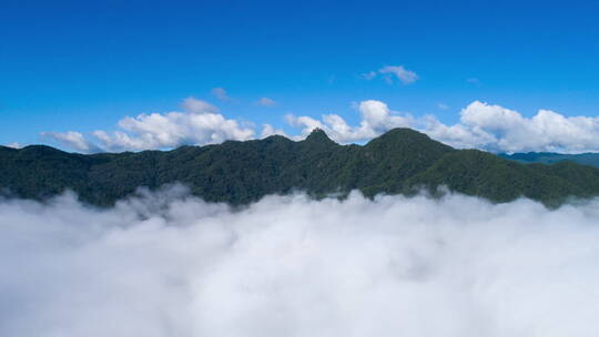 【延时】云峰山云海翻腾