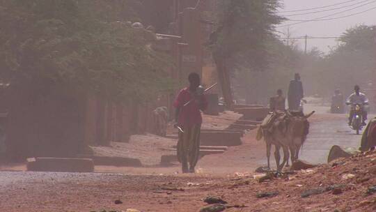 风沙天气农夫赶着驴在道路上行走