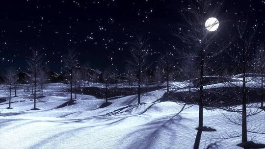 月光下 美丽的雪景