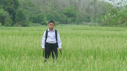 亚洲男孩欢呼在稻田