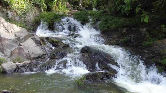 山间小溪水河流水树木枝叶视频