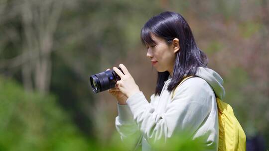 春天年轻女孩郊游茶园手拿相机拍摄美丽景色视频素材模板下载