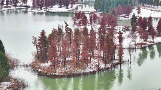 航拍湿地公园雪景树林湖岛