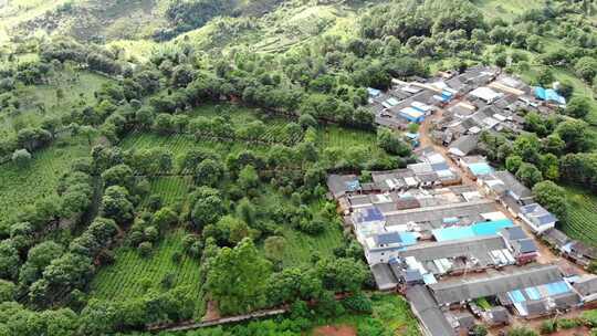 航拍云南普洱景迈山茶园村寨风光