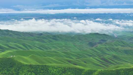 新疆天山草原风光