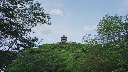 绍兴蕺山公园山顶上的文笔塔