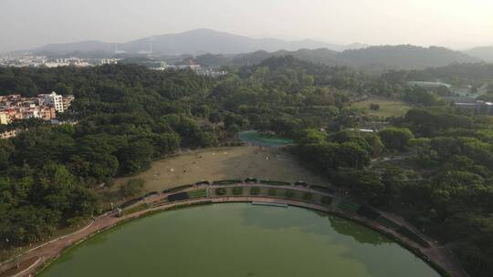 东莞植物园湖泊