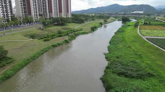 航拍深圳坪山吓山人工湿地风景