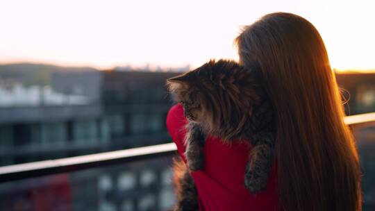 女人抱着宠物在阳台看日出