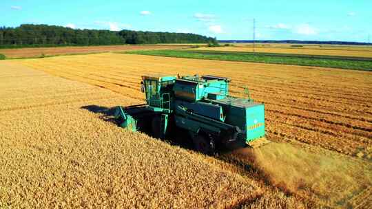 联合收割机在农田收获小麦